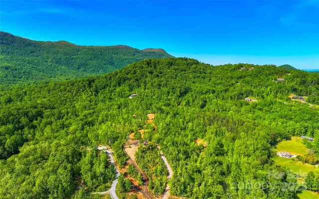 a view of a lush green hillside and a houses