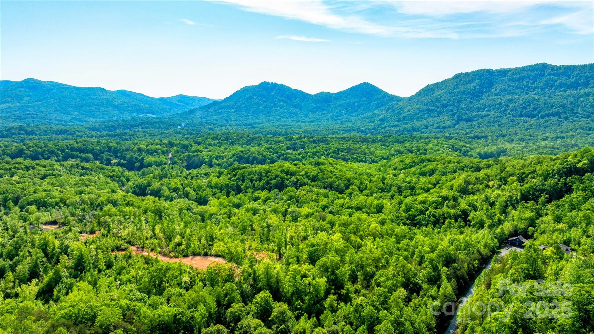 1 Constant Lane Columbus, NC 28722 - Photo 10 of 11 a view of a lush green hillside and a houses