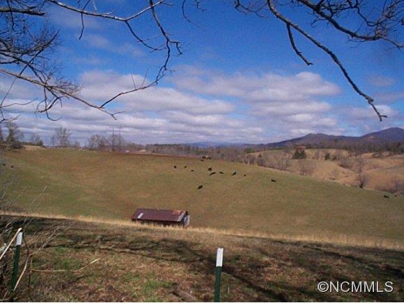 Tbd New Stock Road Weaverville, NC 28787 - Photo 2 of 11 Gallery Image 2