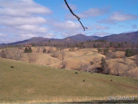 Tbd New Stock Road Weaverville, NC 28787 - Photo 3 of 11 Gallery Image 3