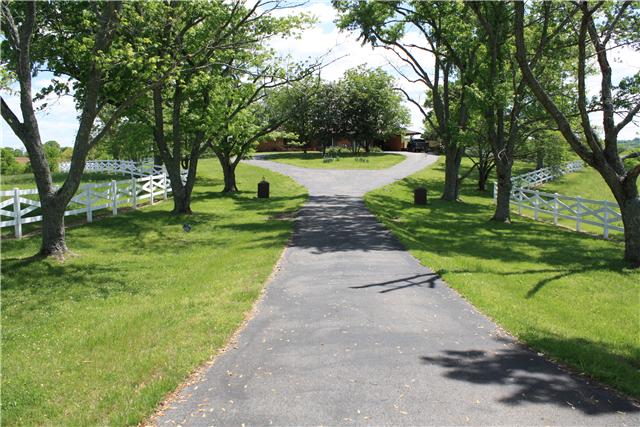 322 Long Road Ardmore, TN 38449 - Photo 5 of 20 View from the Street - Tree lined driveway.