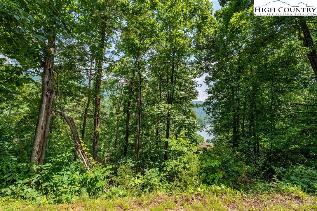 Lot 5 Lake Ridge Butler, TN 37640 - Photo 22 of 24