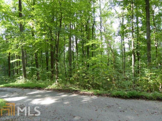 0 Jump Off Ridge, Unit 10 Hiawassee, GA 30546 - Photo 1 of 1 Gallery Image 1