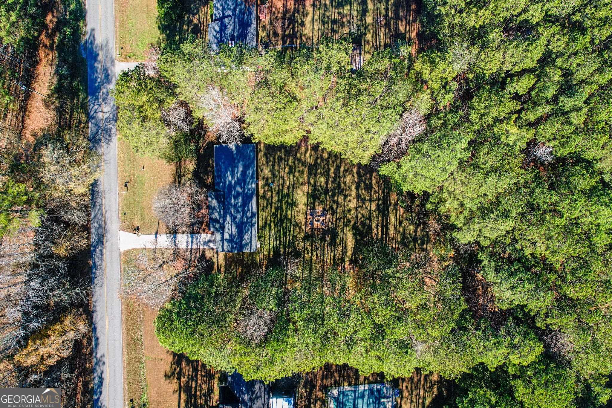 3361 Highway 3 Street North Hampton, GA 30228 - Photo 27 of 29