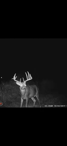 $850,000 | W179S8246 Pioneer Drive, Muskego, WI 53150