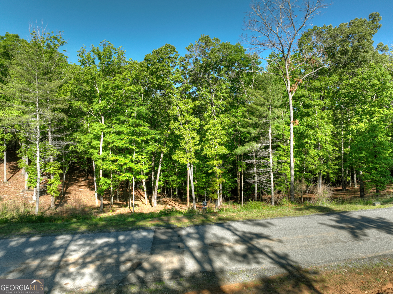 Lot 41 Ridge Drive Morganton, GA 30560 - Photo 30 of 34