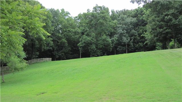 7620 River Rd Pike Nashville, TN 37209 - Photo 8 of 18 Back Yard