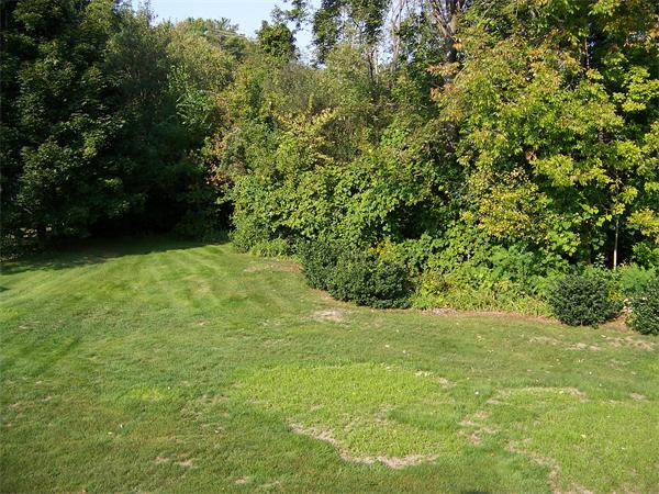218 Alida Road Braintree, MA 02184 - Photo 15 of 17 Gallery Image 15