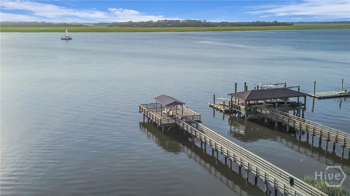 111 Carlton Road Savannah, GA 31410 - Photo 52 of 57 Community dock for HOA members only.