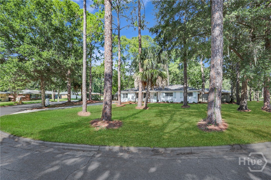 111 Carlton Road Savannah, GA 31410 - Photo 8 of 57