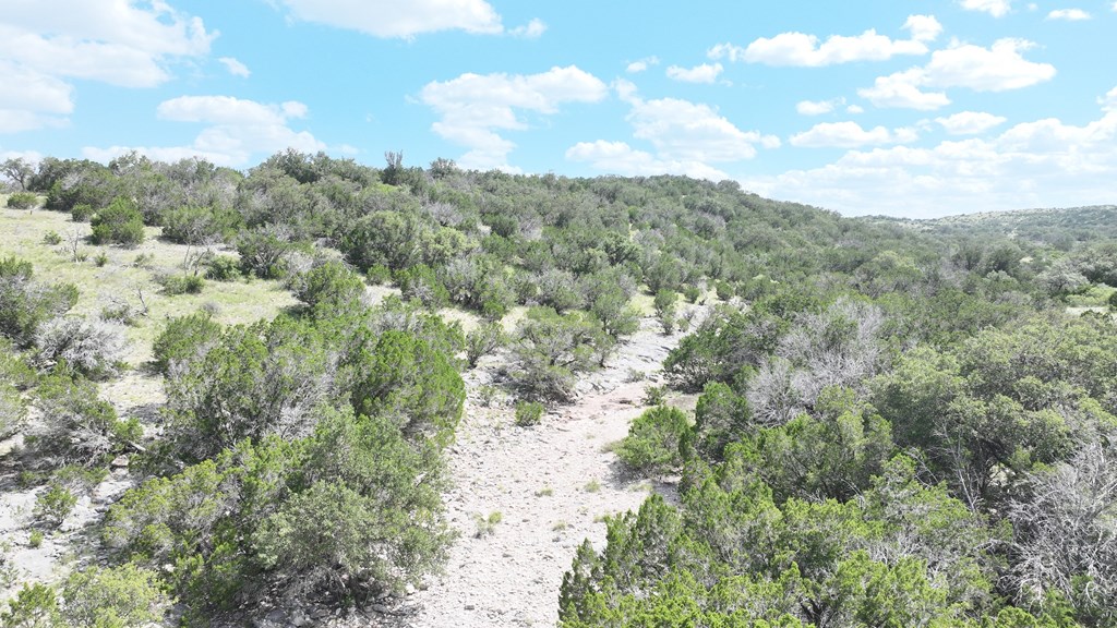 74-75 Other Rocksprings, TX 78880 - Photo 4 of 9