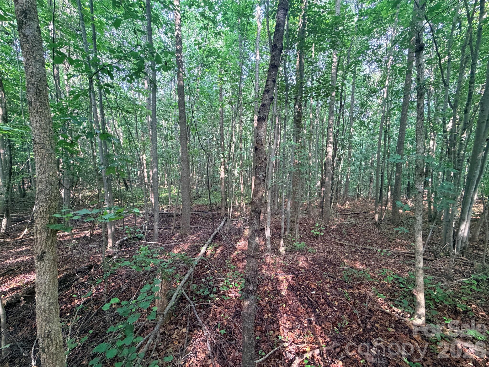 Lot 3 Schenck Farm Road Lawndale, NC 28090 - Photo 4 of 13