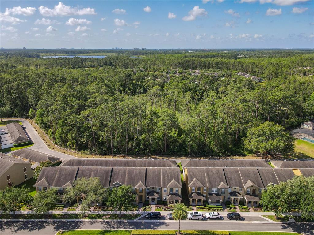 12930 Vennetta Way Windermere, FL 34786 - Photo 38 of 38