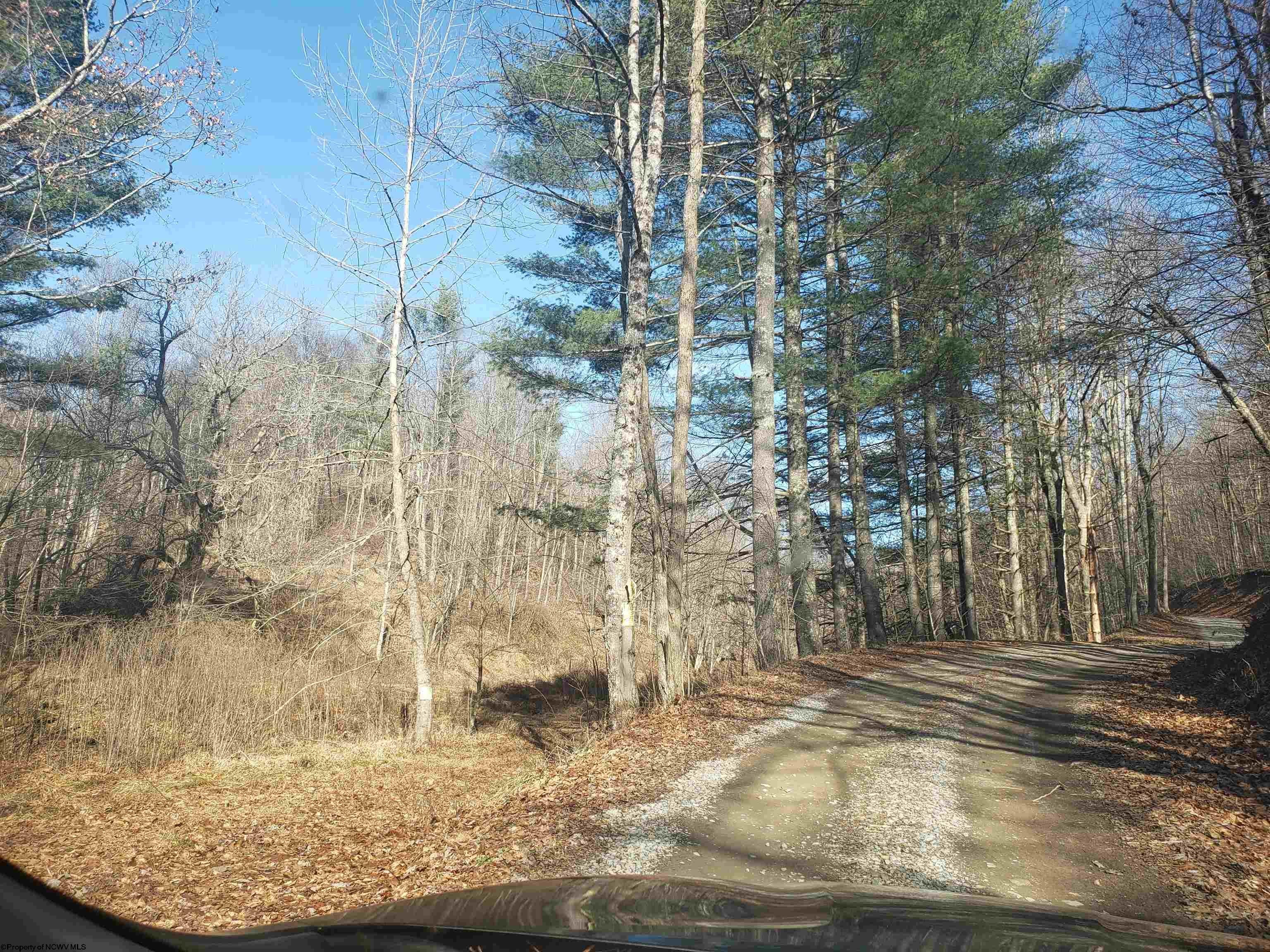 100 Steve Rosier Road Parsons, WV 26287 - Photo 20 of 21 Gallery Image 20