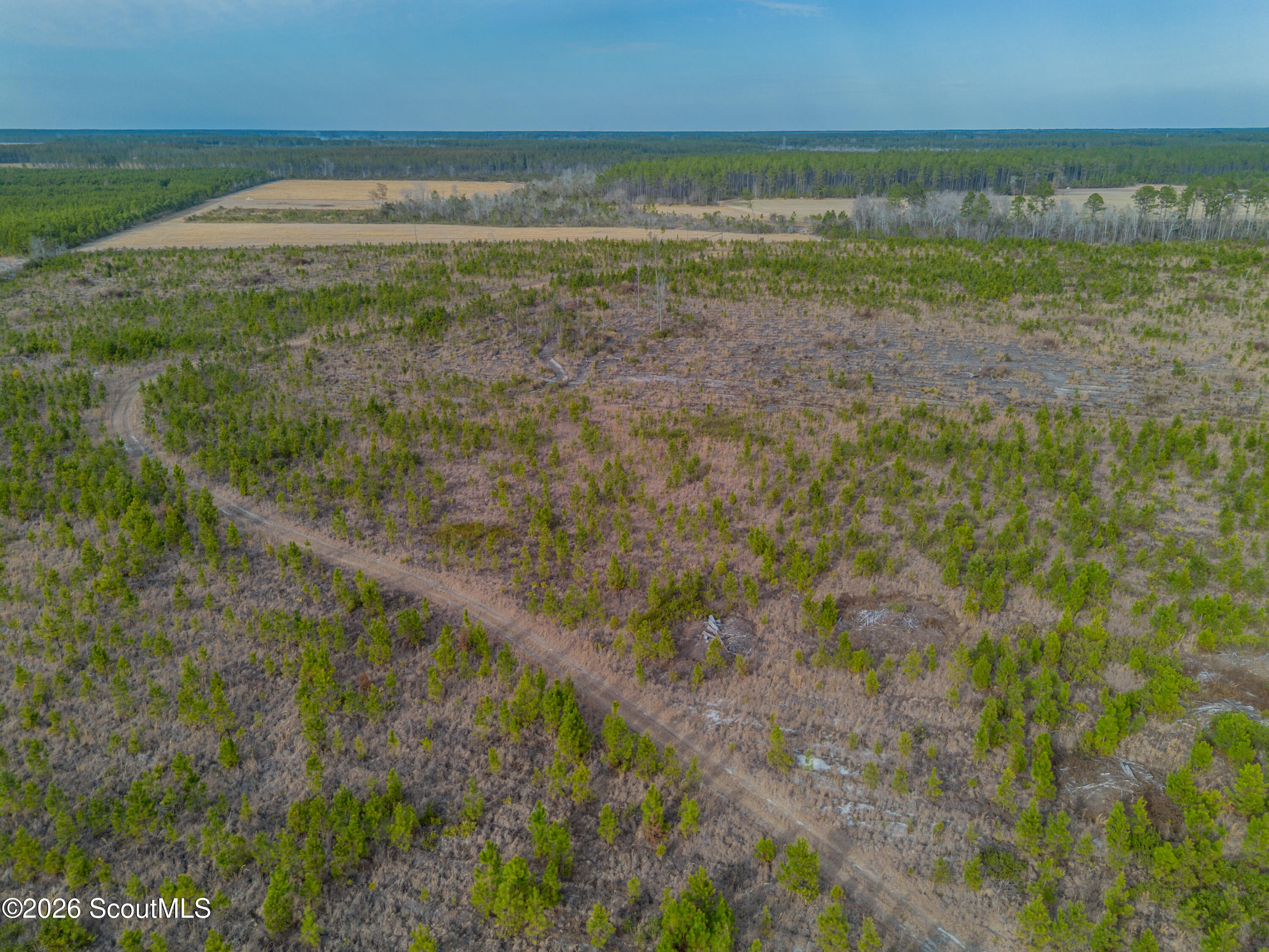 0 Reddish Road Odum, GA 31555 - Photo 24 of 46 230-AC-REDDISH-ODUM-23