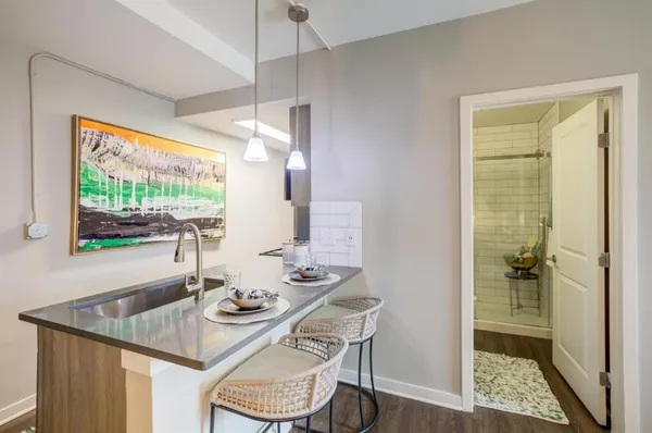 $1,195 | 2025 Peachtree Street Northeast, Unit 841, Atlanta, GA 30309