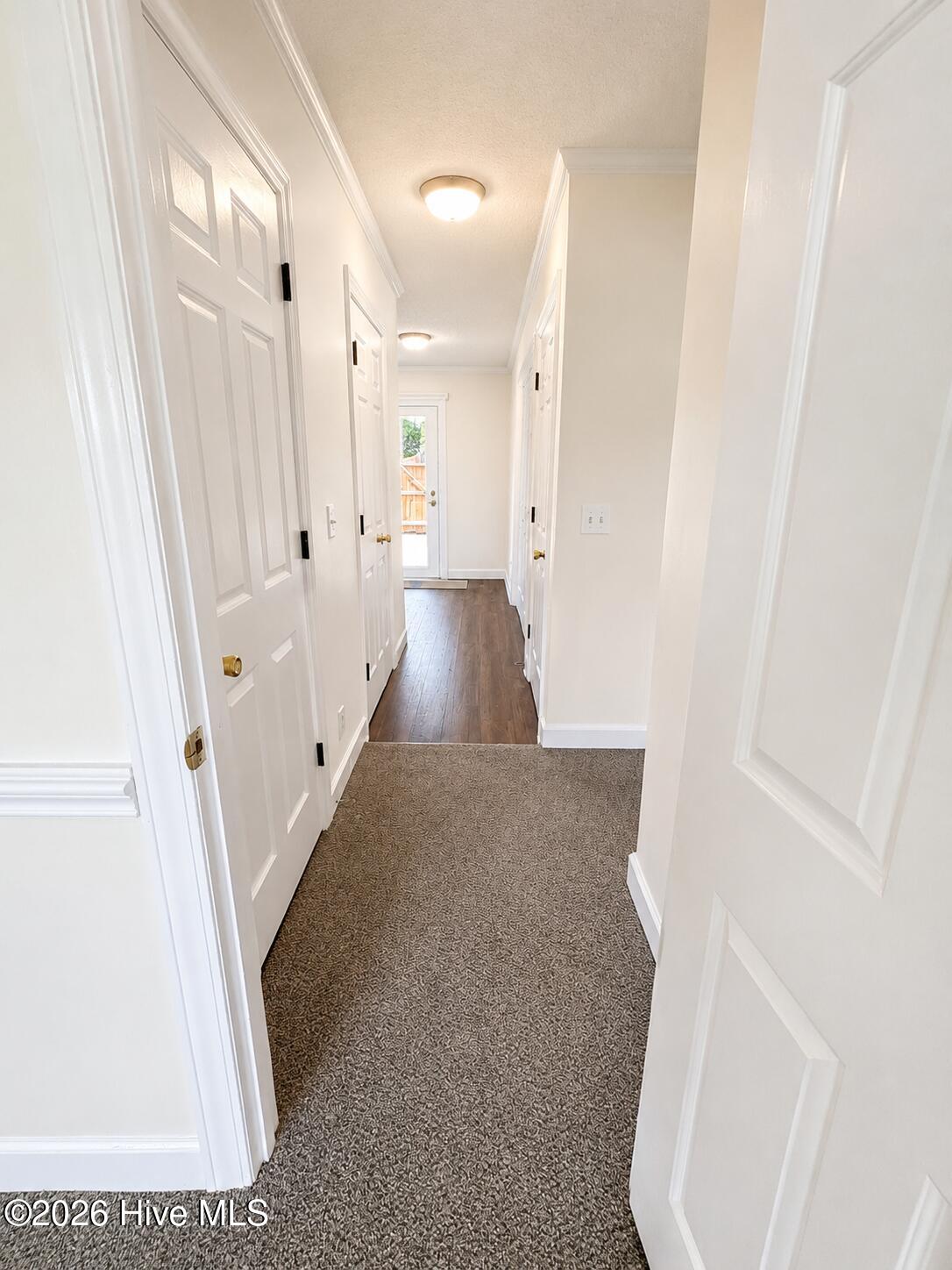 1827 Quail Ridge Road, Unit A Greenville, NC 27858 - Photo 4 of 17 Hallway to Kitchen
