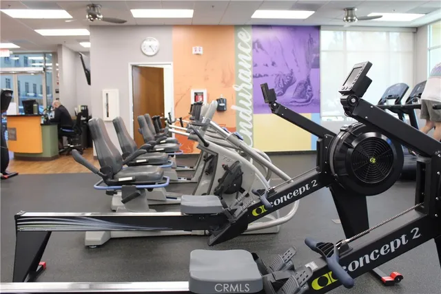 a view of a yard with plants and tree