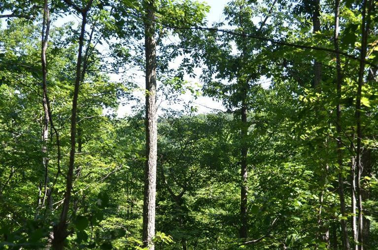 300 Farm Ridge Road Beattyville, KY 41311 - Photo 45 of 48 Photo 46