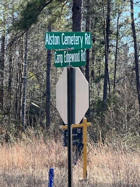 Alston Cemetery Road Dequincy, LA 70633 - Photo 9 of 9