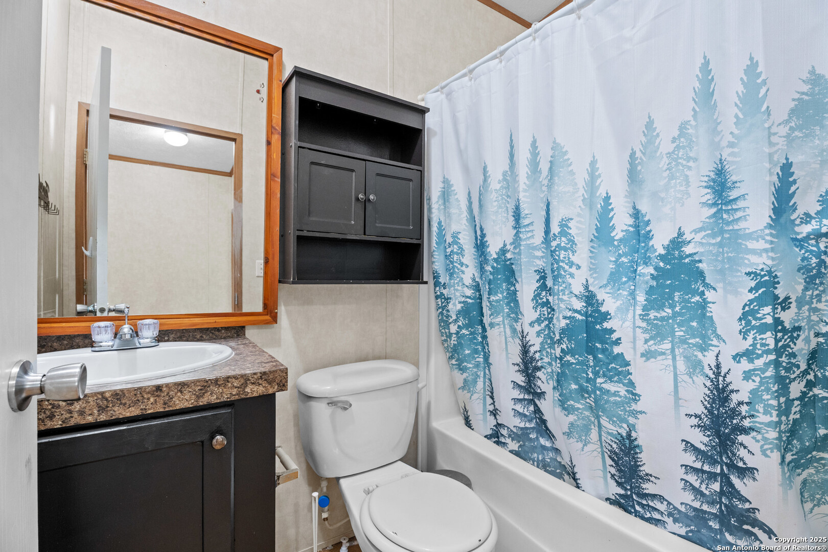 1100 Big Leaf Road San Antonio, TX 78264 - Photo 20 of 26 a bathroom with a granite countertop sink toilet and shower