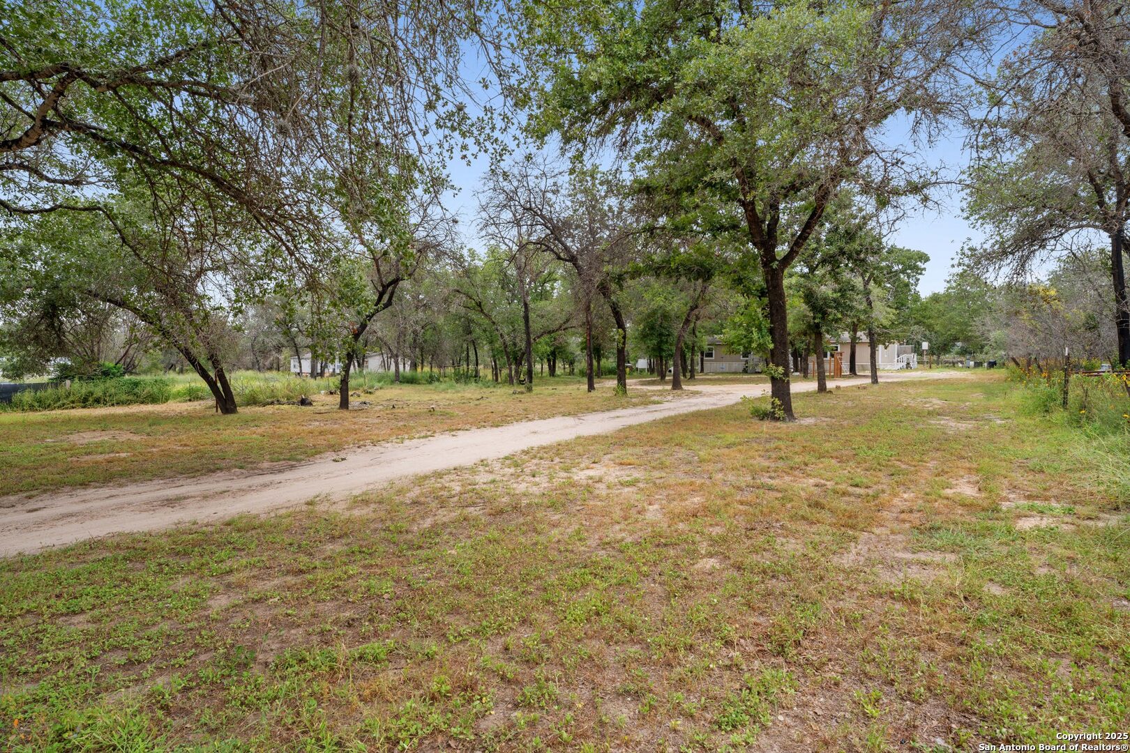 1100 Big Leaf Road San Antonio, TX 78264 - Photo 24 of 26 a view of ground with trees