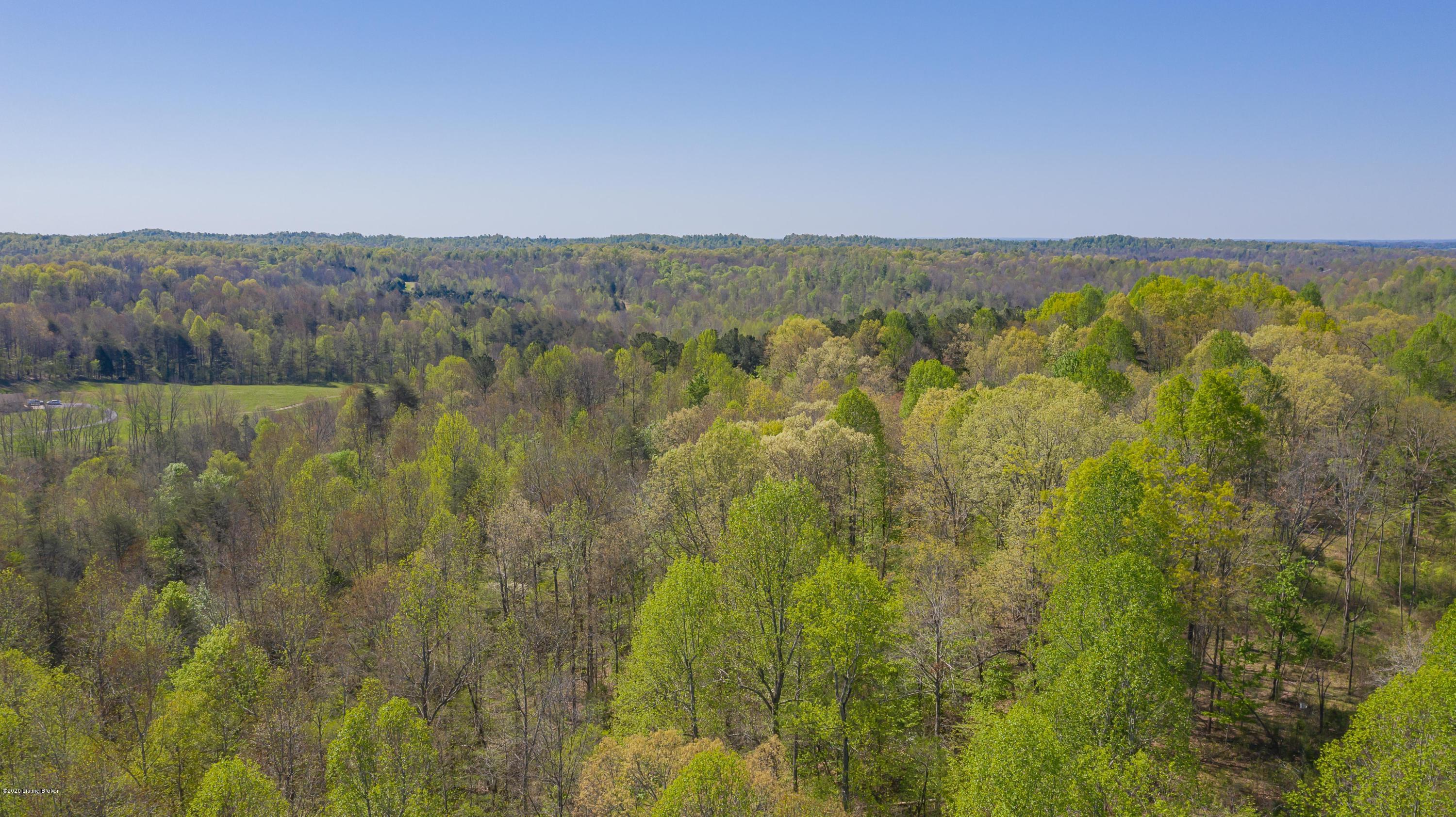 993 Poplar Grove Road Buffalo, KY 42716 - Photo 20 of 35 DJI_0141