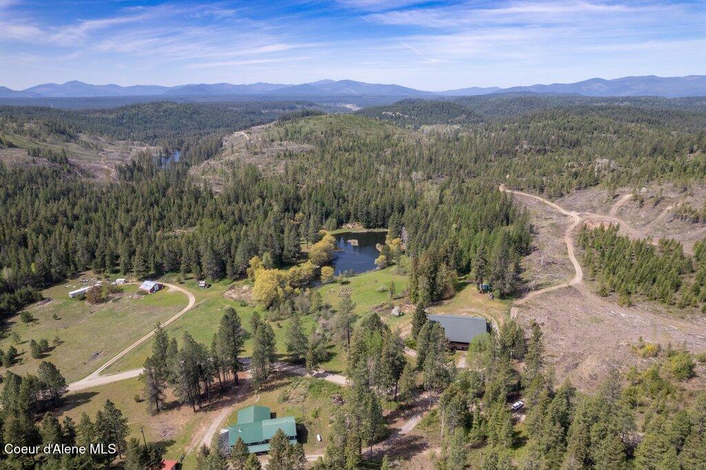 784 Twin River Road Athol, ID 83801 - Photo 4 of 55 Aerial