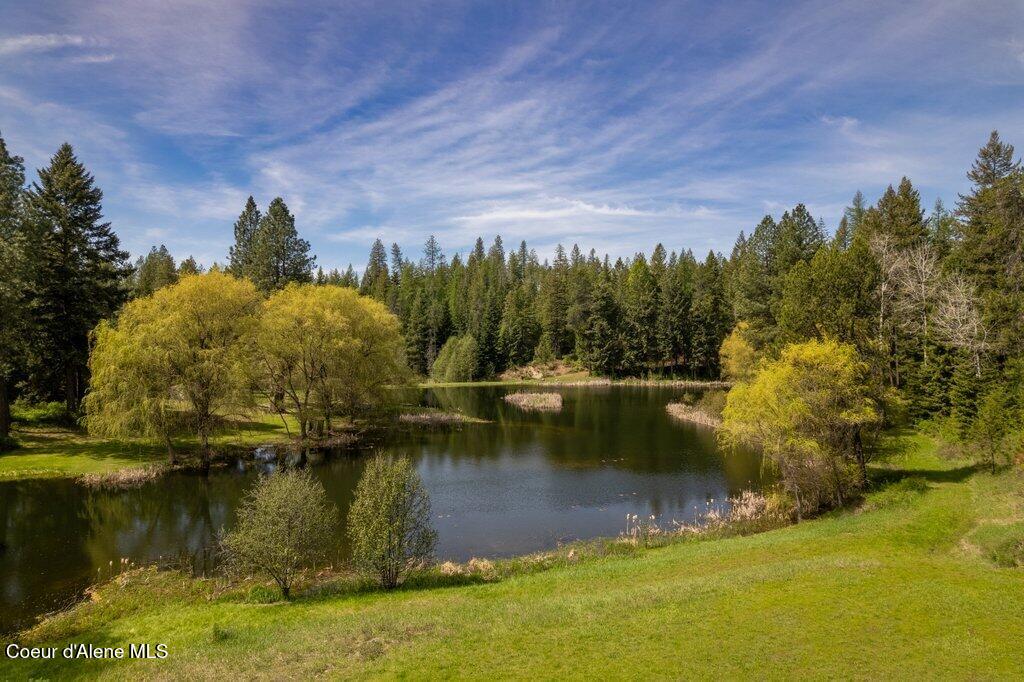 784 Twin River Road Athol, ID 83801 - Photo 50 of 55 Pond
