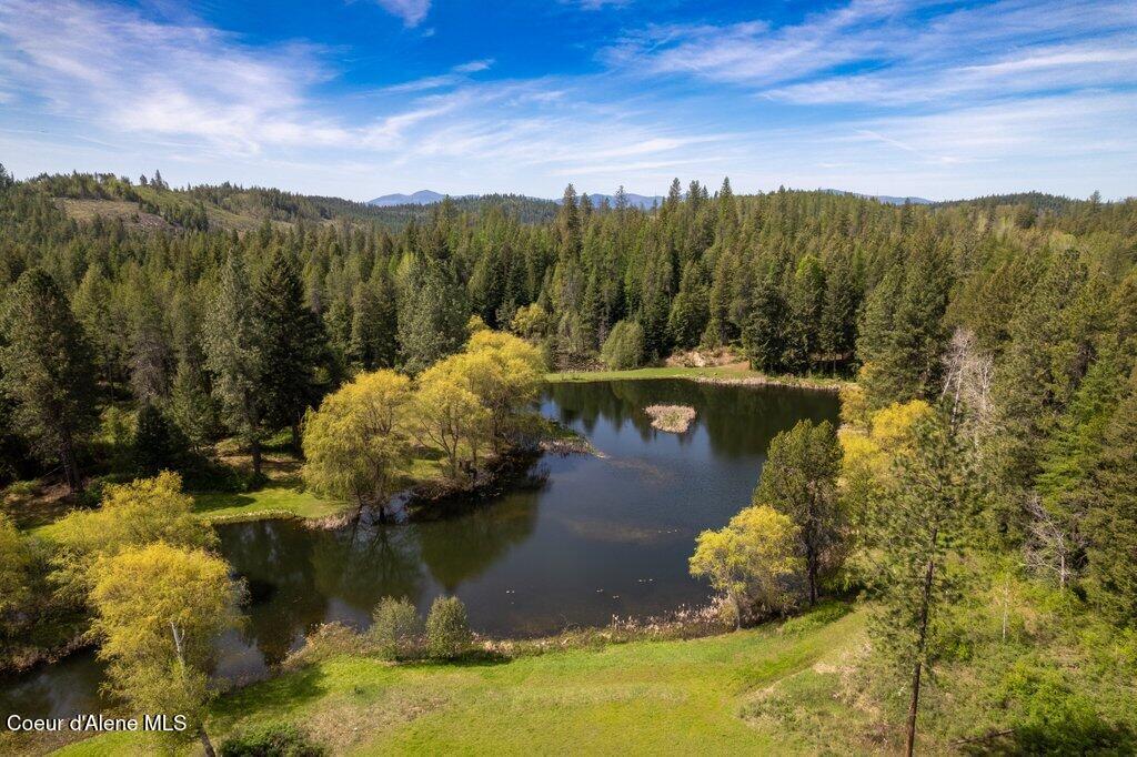 784 Twin River Road Athol, ID 83801 - Photo 54 of 55 Aerial Pond