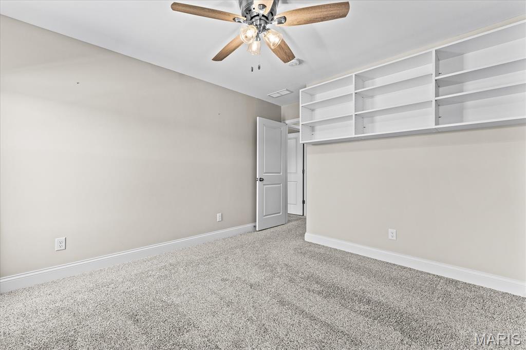 1434 Montauk Road Troy, IL 62294 - Photo 54 of 82 Gallery Image 54