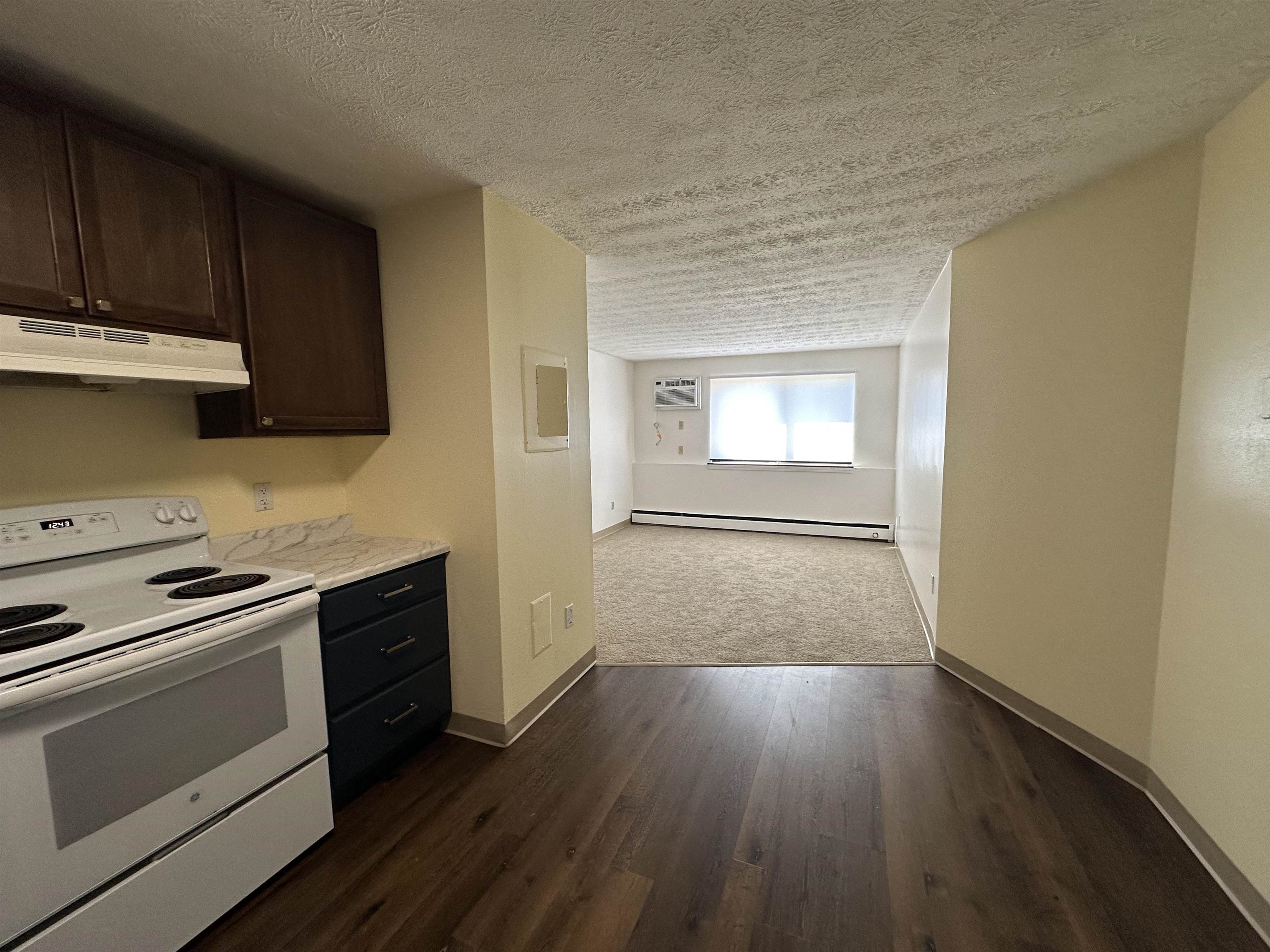 45 Log Street, Unit 1E Manchester, NH 03102 - Photo 5 of 22 Gallery Image 5