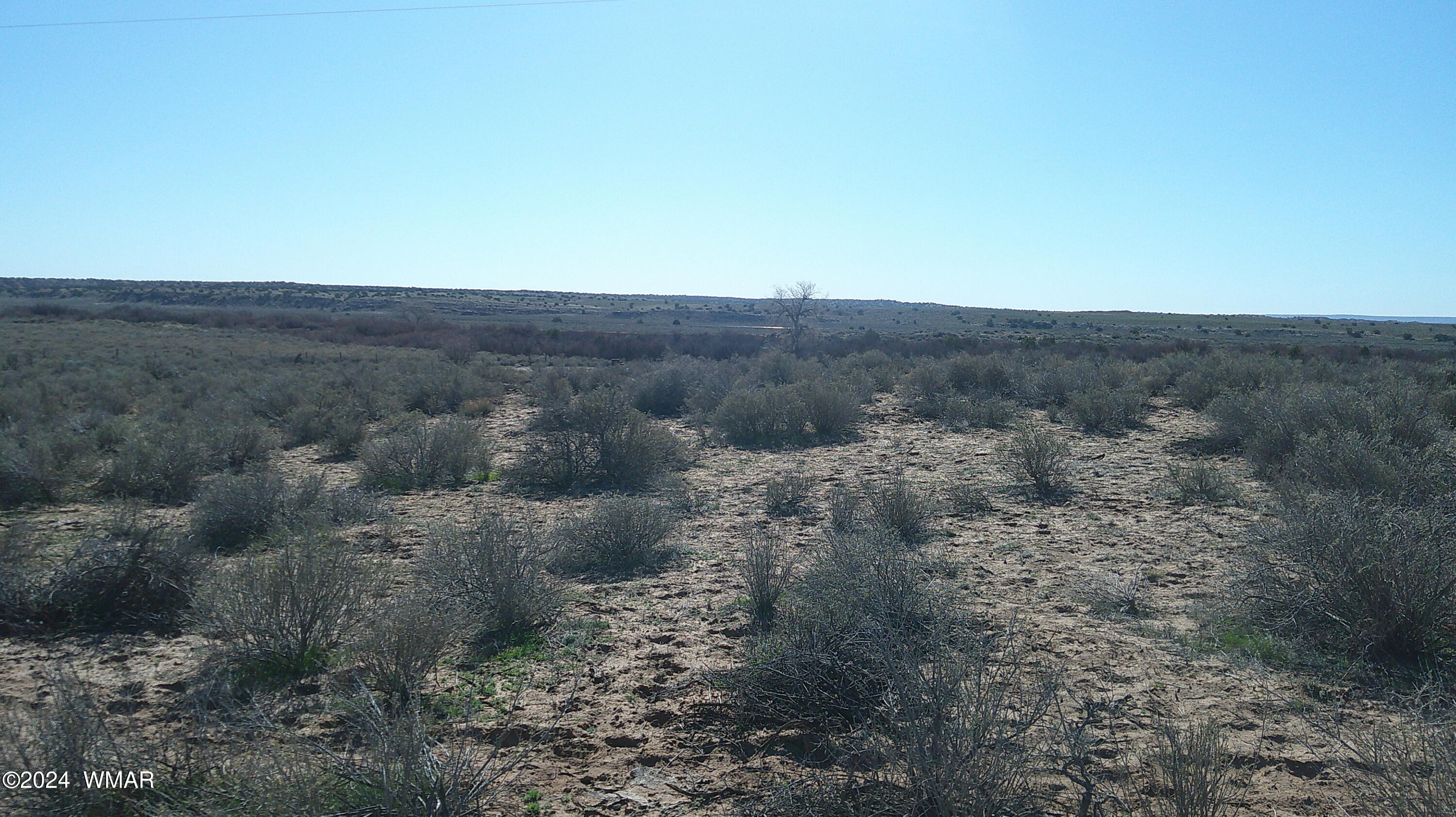 0 Chambers Chambers, AZ 86502 - Photo 49 of 64 a view of a dry yard with green space