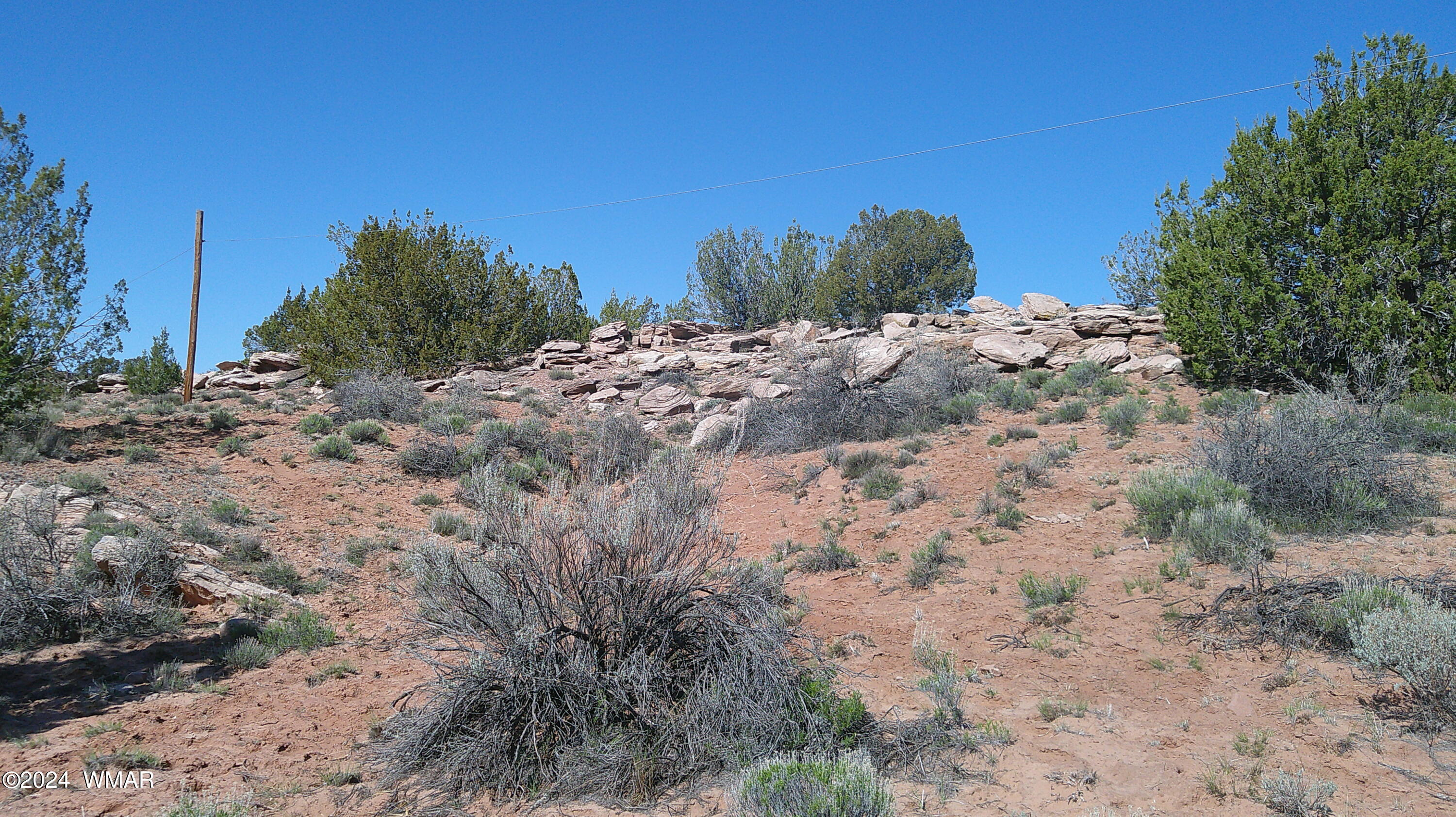 0 Chambers Chambers, AZ 86502 - Photo 63 of 64 a view of a dry yard with lots of bushes
