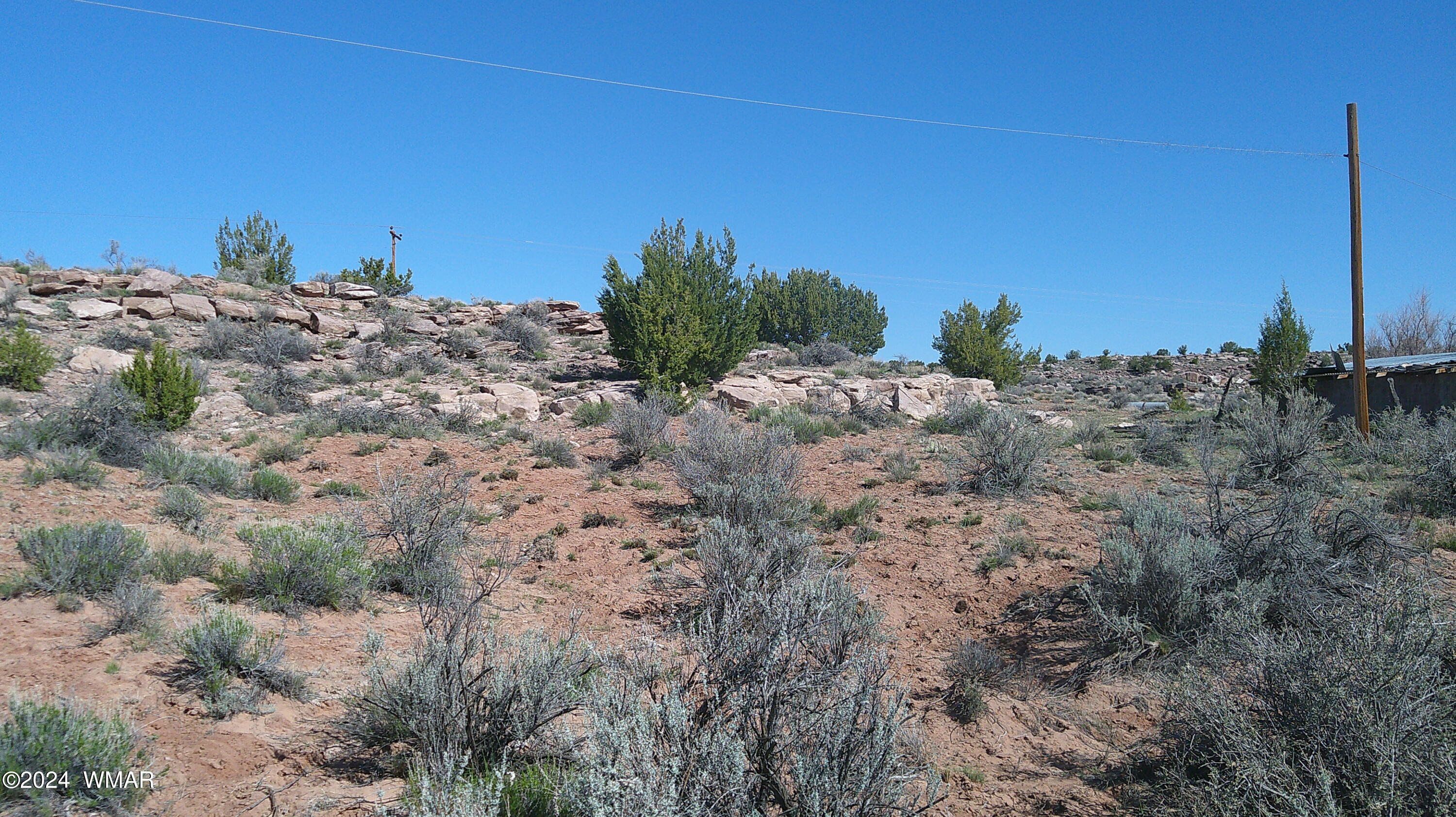 0 Chambers Chambers, AZ 86502 - Photo 64 of 64 a view of a dry yard