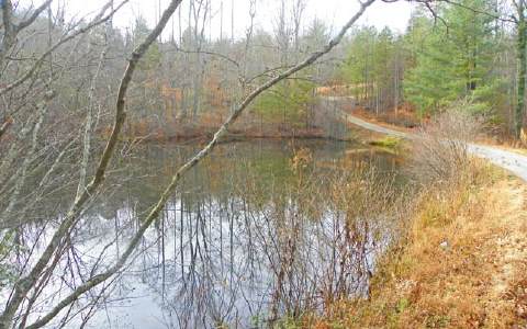 4 B Richlen Ridge Road Morganton, GA 30560 - Photo 1 of 1 Main View