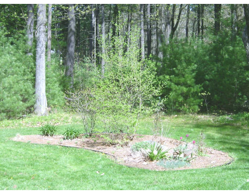 53 Wheeler Road Bolton, MA 01740 - Photo 3 of 12