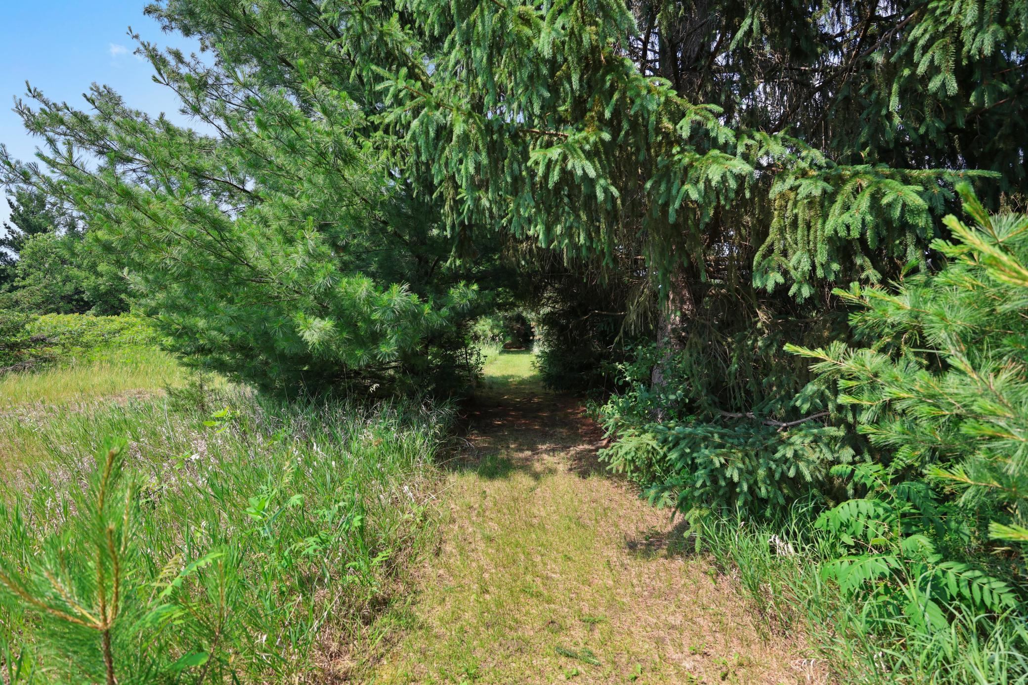 4040 Ricecliff Lane Rice, MN 56367 - Photo 109 of 124