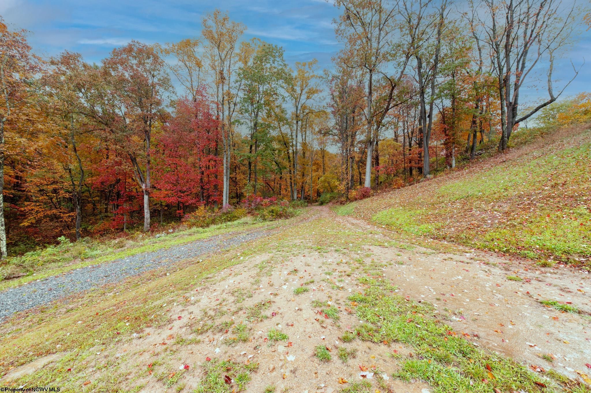 1160 Indian Rock Road Reedsville, WV 26547 - Photo 18 of 23 Gallery Image 18