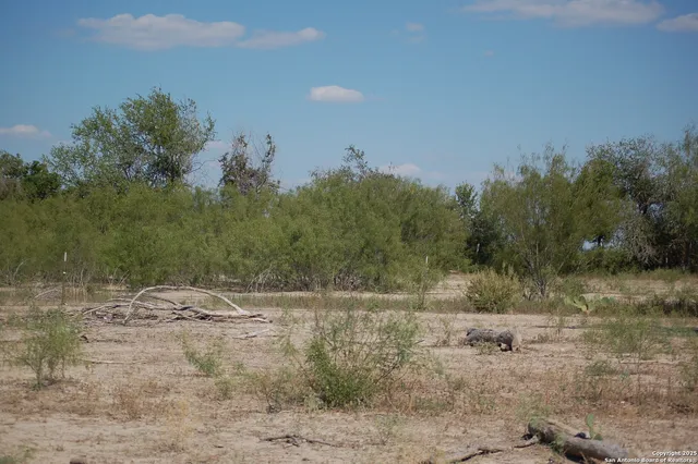 a view of a lush green space