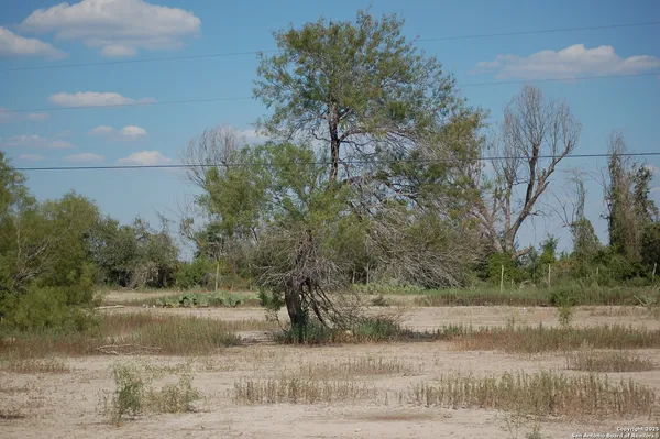 a view of a yard and mountain view