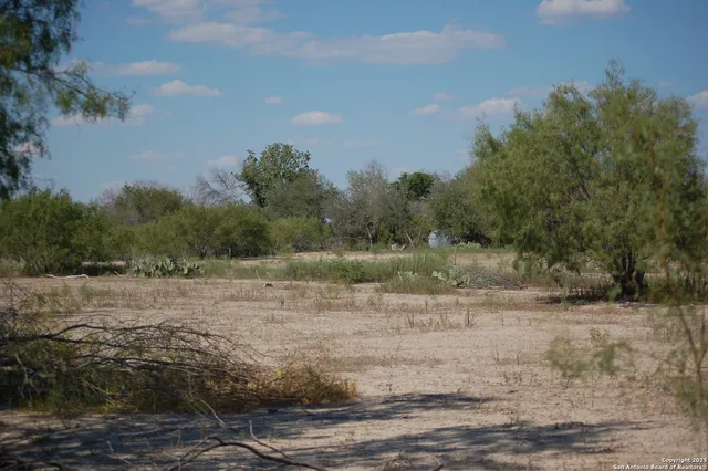 a view of a yard with a tree