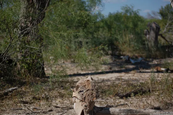 a view of a town with trees