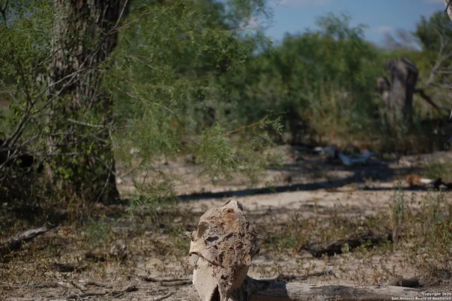 a view of a town with trees