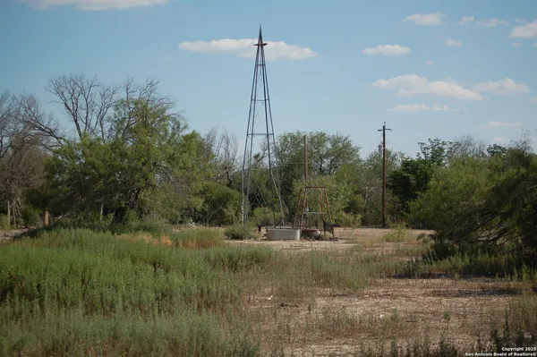 a view of a lake with a forest