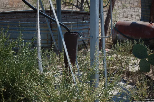 a view of a lush green forest