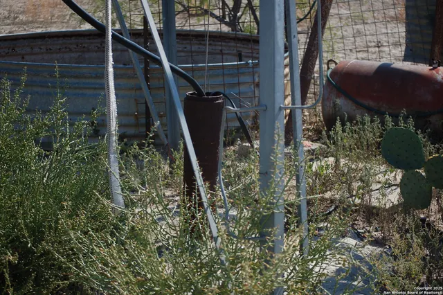 a view of a lush green forest