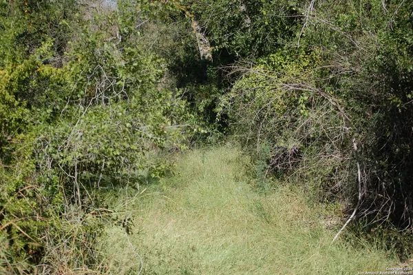 a view of a lake with a mountain