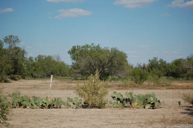 a view of a lake with trees