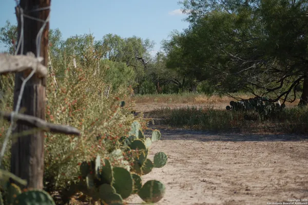 a view of a field with trees in background